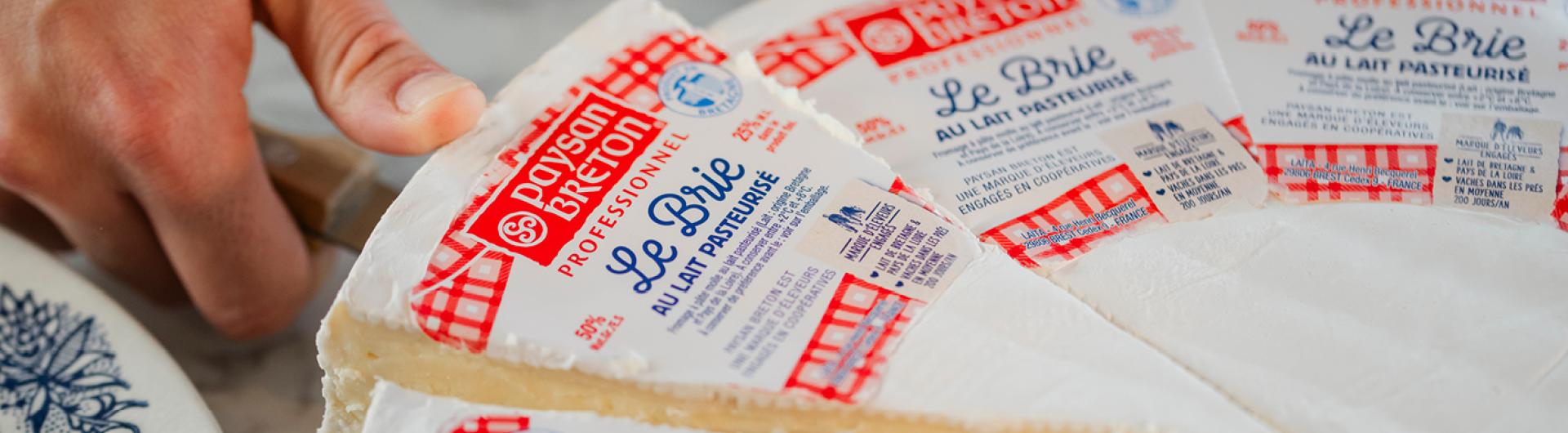 Les fromages à pâte molle